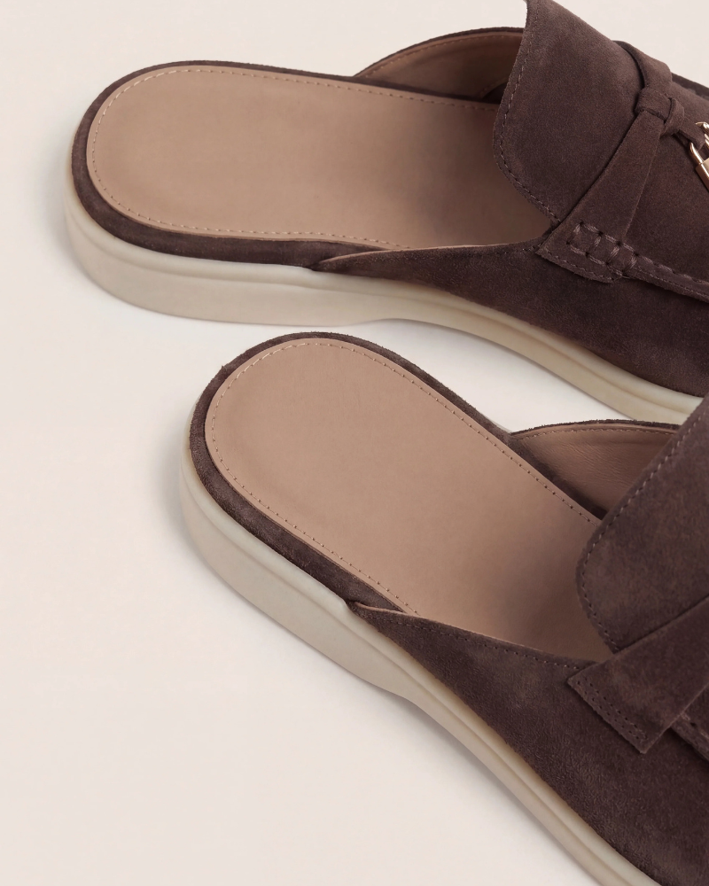 Brown Mediterranean Mule